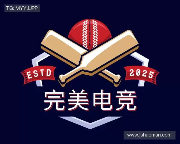 了解完美电竞